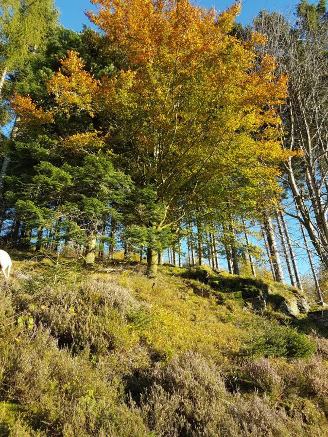 Freundliche Unterkunft Sauerland Meschede Zewnętrze zdjęcie
